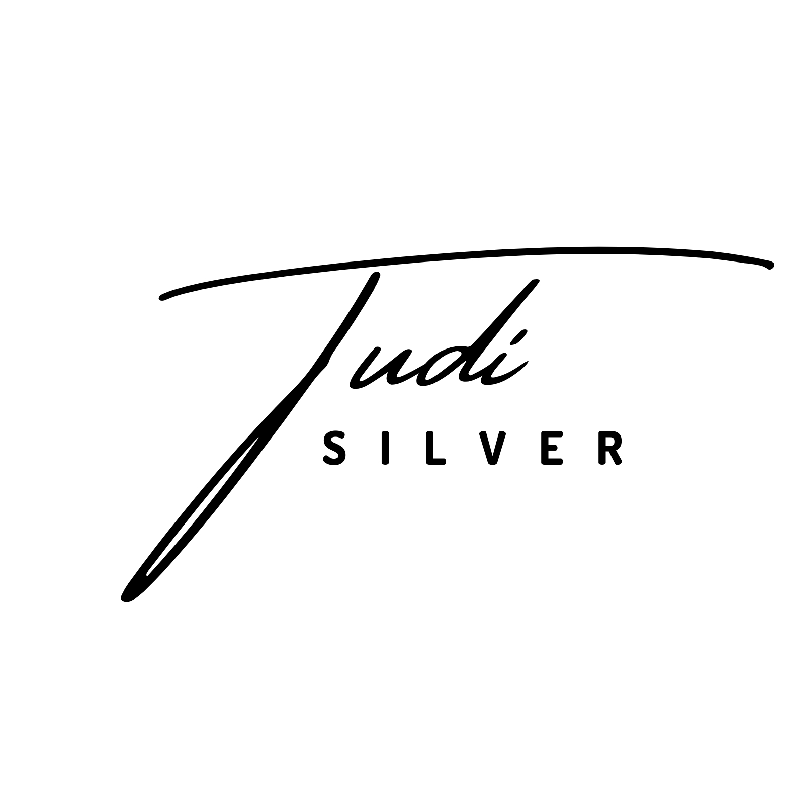 Tudi Silver Logo